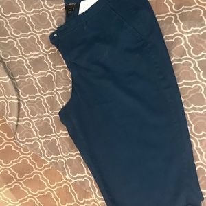 Lane Bryant Knee Shorts